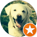 Greg Lindsay profile picture